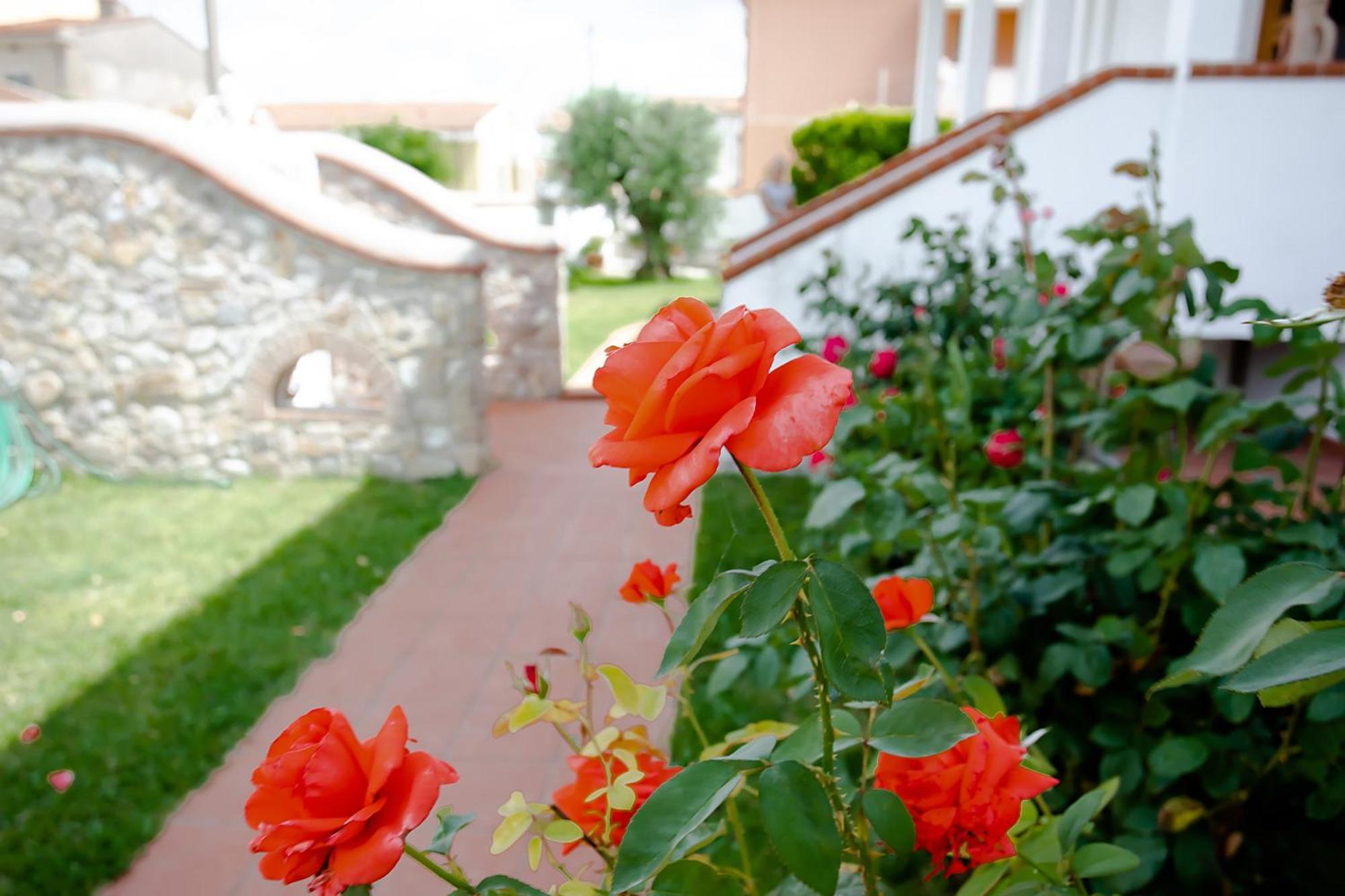 Affitti Brevi Green House Cascina Exterior foto